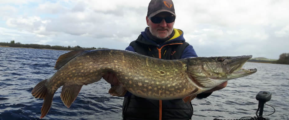 Fishing species  Irish Fishing Tours